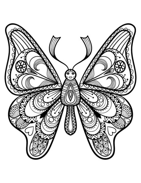 Advanced Butterfly Coloring Page