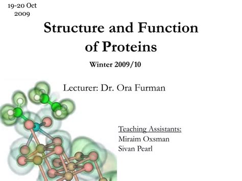 PPT - Structure and Function of Proteins PowerPoint Presentation, free ...