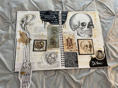 Sketchbook layout ideas | Gcse art sketchbook, A level art sketchbook ...