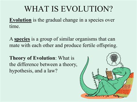 Theory of Evolution