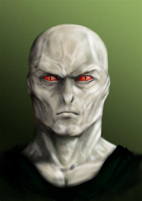 voldemort by kevstertattoo on DeviantArt