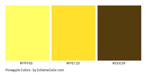 Pineapple Color Scheme » Brown » SchemeColor.com