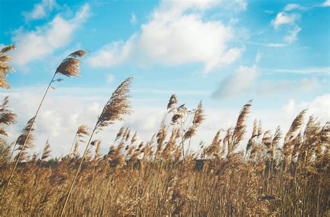 Wind, Not Rain, Reduces Air Pollution – Smart Air