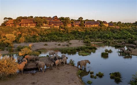 Victoria Falls Safari Lodge’s Livestream Delivers Incredible Sightings ...