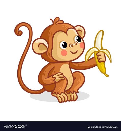 Monkey on a white background eats banana vector image on VectorStock ...