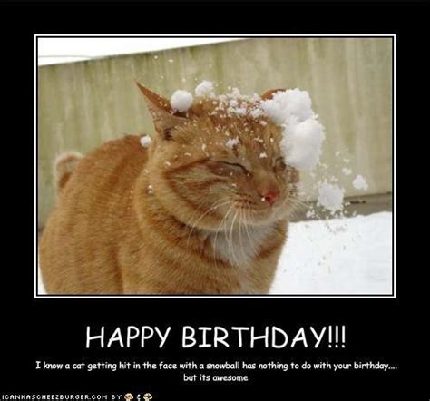 happy birthday cat meme - Deanne Stageman