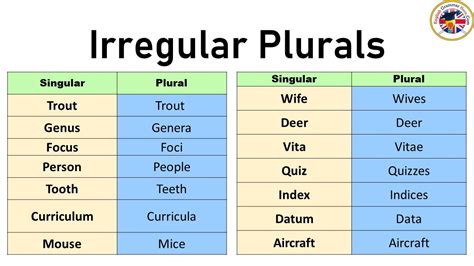 Regular And Irregular Plural Nouns Quiz - Printable Online