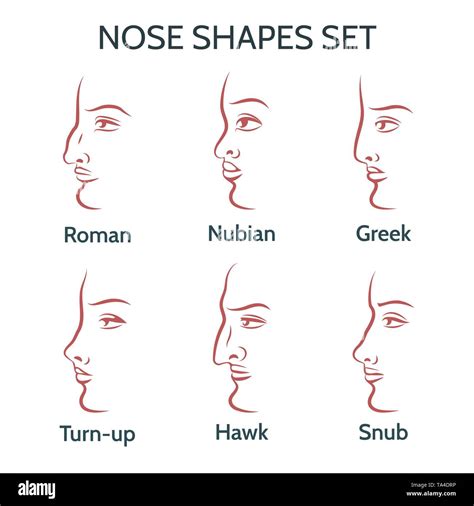 Different Nose Types