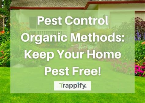 Pest Control Organic Methods: Keep Your Home Pest Free!