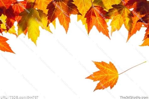 fall leaves clipart border 18 free Cliparts | Download images on ...