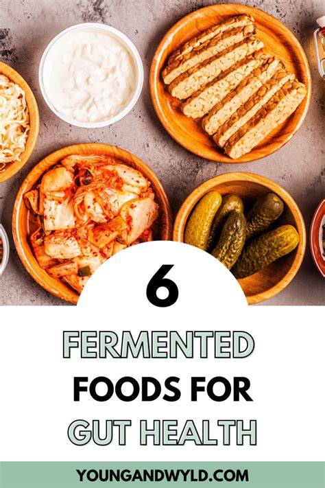 5 Best fermented foods for gut health