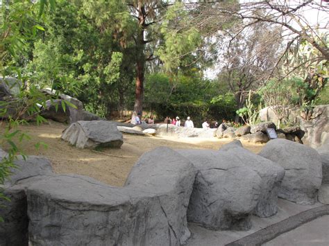 Aldabra Tortoise Habitat - ZooChat