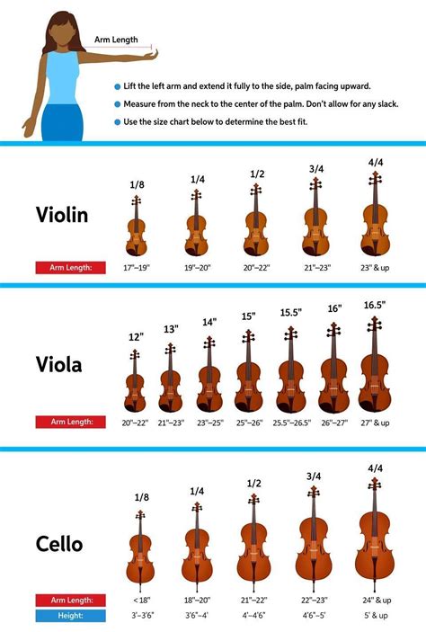 The Parent's Guide to Orchestral String Instruments