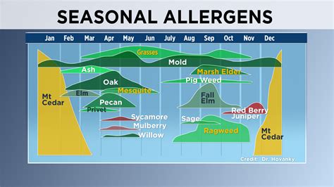 Flower Mound Allergy Count | Best Flower Site