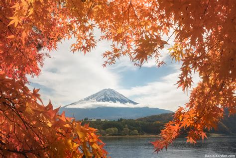 Japan in red: autumn leaves photography tour, 12 – 20 November, 21 – 29 ...