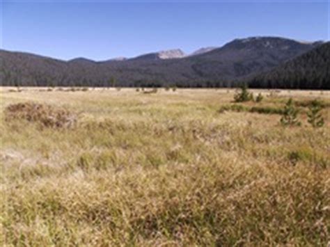 Big Meadows - Hike to Big Meadows in Rocky Mountain National Park