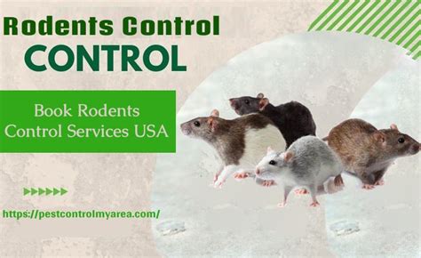 Rodents Control Services Affordable Price USA All Cities Zip Code