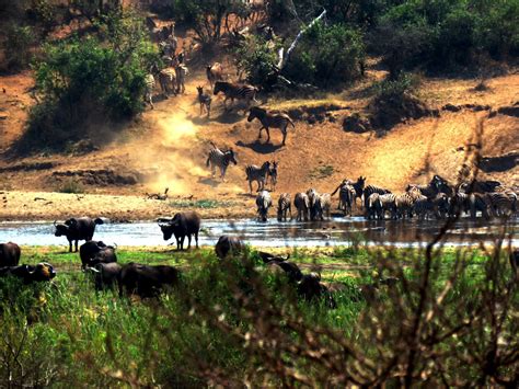 Exquisite scenery from the Marloth Park side of the Crocodile River ...