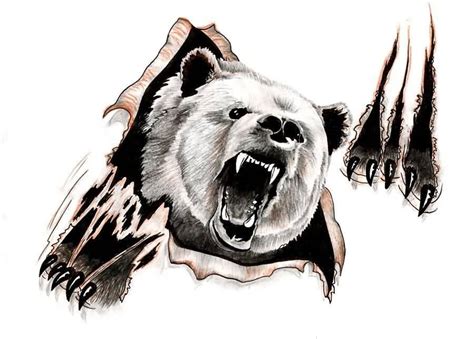 Angry Bear Drawing at GetDrawings | Free download