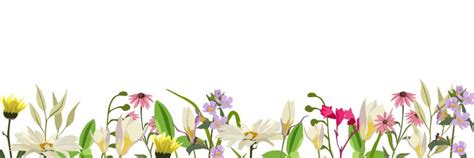 Floral banner border backdrop on white Royalty Free Vector