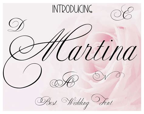 Wedding font Calligraphy font Brush font Handwritten font | Etsy