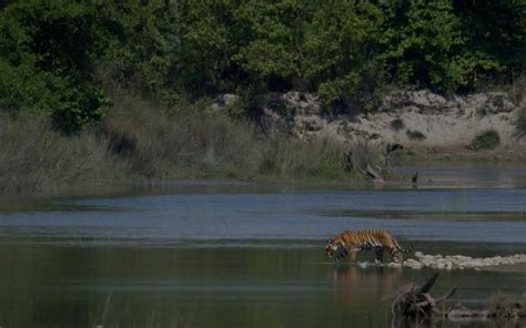 Corbett National Park | MakeMyTrip Blog