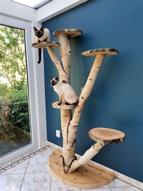 15 Free DIY Outdoor Cat Tree Ideas and Plans