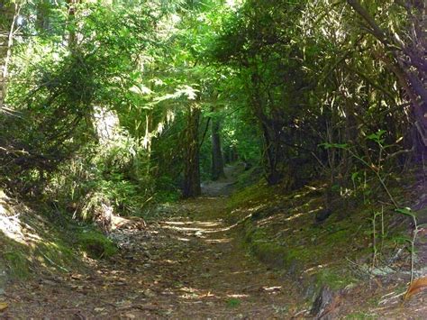 Trails in Oregon Dunes National Recreation Area