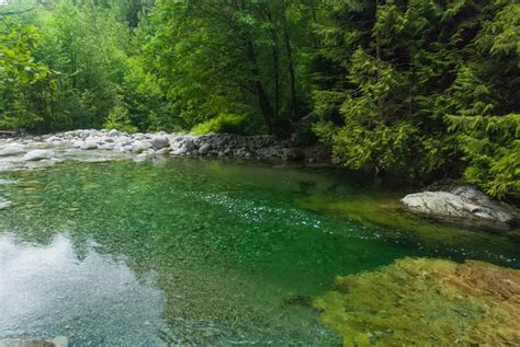 30 Foot Pool | Lynn Canyon Park & Suspension Bridge in Lynn Valley, BC