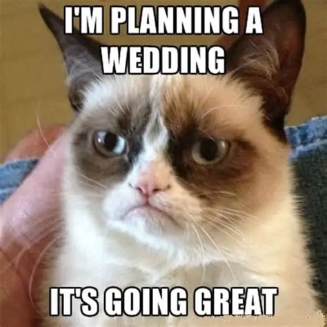 30 Funny Wedding Memes for The Bride And Groom – SheIdeas