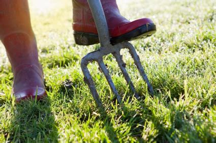 Aerating Your Lawns Grass and Soil | Lawn Aeration