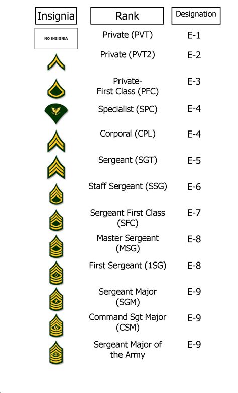 The Army Enlisted Ranks In The Army