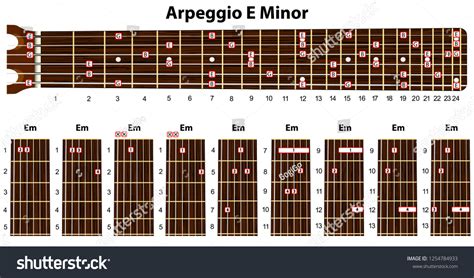 Arpeggios E Minor Set Vector Guitar Stock Vector (Royalty Free) 1254784933