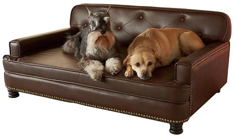 Best Sofa For Dogs - Dog N Treats