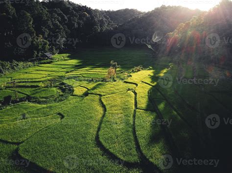 Landscape Paddy rice field in Asia, aerial view 3357667 Stock Photo at ...