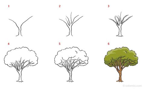 Easy Tree Drawing » How to draw a Tree