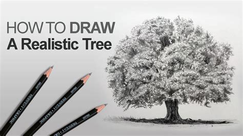 Tree Drawing With Color Pencil