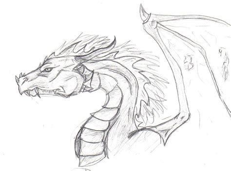 Dragon Head -Sketch by CanisLupes on DeviantArt