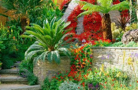 A Sparkling Tropical Garden with Architectural plants