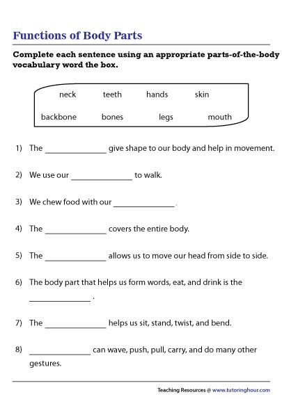 Functions of Body Parts Worksheet