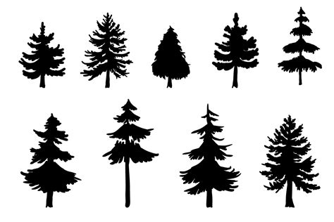 Tree Silhouette Pine at GetDrawings | Free download