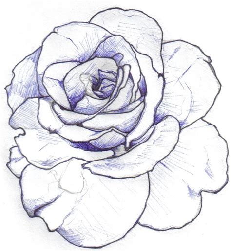 39 best Rose Drawing Stencil Tattoo Designs images on Pinterest | Rose ...