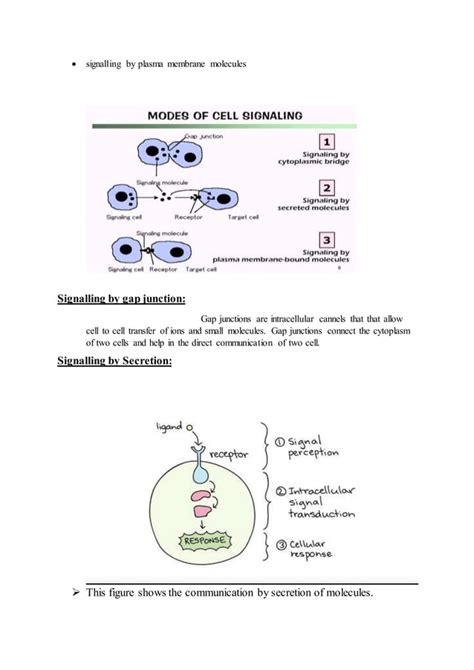 Cell signaling pathways | PDF