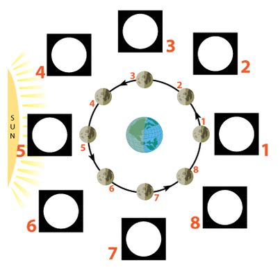 The Moon / Earth / Sun System - Mr. Gibbs' Science