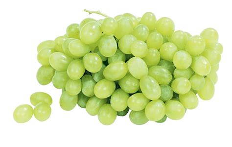 Green Grapes Isolated - Prepared Food Photos, Inc.