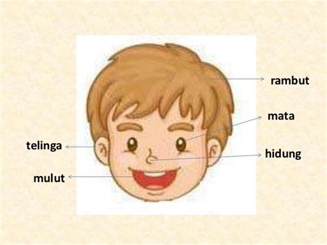 Gambar Anggota Badan Manusia Kartun : Bahasa Arab Tahun 2 Ø£Ø¹Ø¶Ø§Ø¡ Ø ...