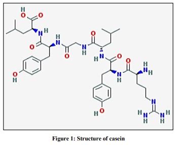 Weight Of Casein In Cow Milk - All About Cow Photos