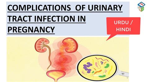 URINARY TRACT INFECTION PART2|COMPLICATIONS OF UTI IN PREGNANCY|Y IT IS ...