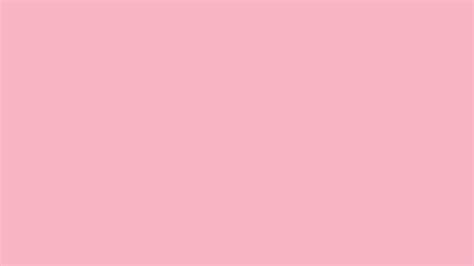 Light Pink Solid Color Background: 1000+ Free Download Vector, Image ...