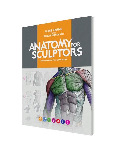 Understanding the Human Figure Paperback | Anatomy For Sculptors